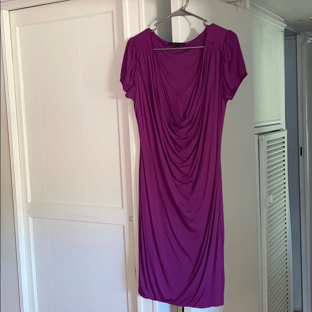 Antonio Melani Dress